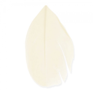 Plumes 6 cm Crème x3gr