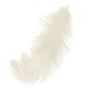 Plumes 8 à 12 cm Crème x3gr
