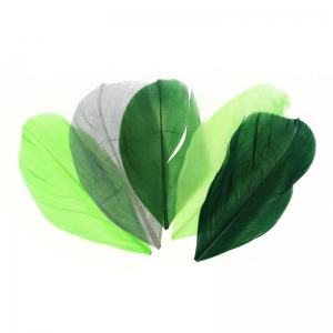 Assortiment de plumes 6 cm Camaïeu Vert x10gr