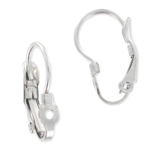 Boucles d'oreilles Dormeuses trouées 16 mm en Acier Inox x2