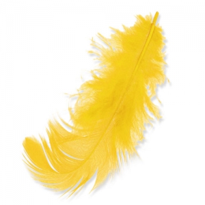 Plumes 8 à 12 cm Jaune x3gr