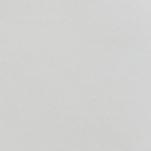 Papier de soie Paper Poetry 50x70cm Argenté x5 feuilles