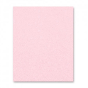 Rectangle de feutrine 1,5 mm 30,5x22,9 cm Baby Pink