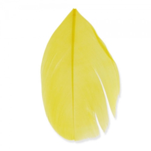 Plumes 6 cm Jaune x3gr