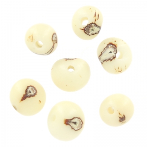 Graines açaï du Brésil 8 mm Naturel x 10