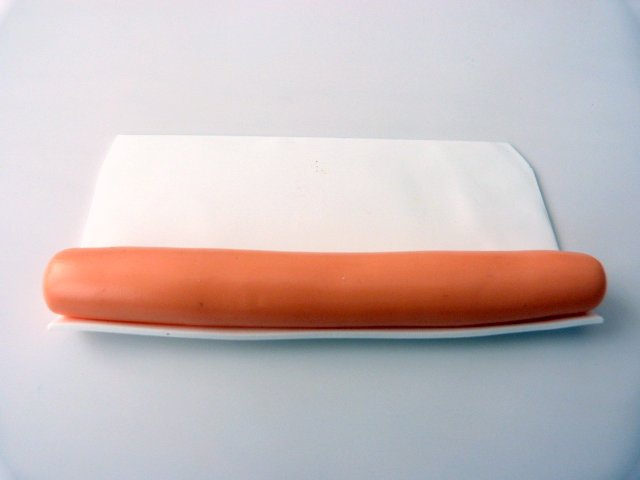 cane-agrumes-pate-polymere-2_640