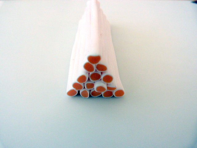 cane-agrumes-pate-polymere-5_640