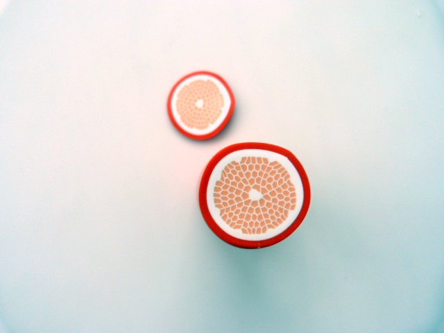 cane-agrumes-pate-polymere-9_640