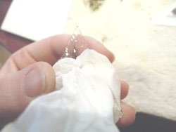 modele2_d5 modele2_d5