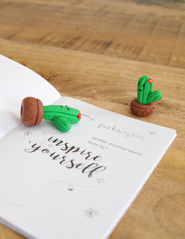 Cactus fait en Patagom