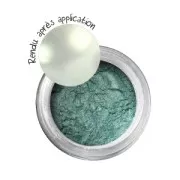 Pigments en poudre à effet métallique - Emeraude x 6g