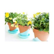 Peinture acrylique - DecoCrème de Pébéo - Olive Mat n°34 x 120ml