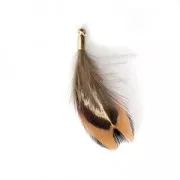 Plume de faisan rayée avec embout doré pour bijoux fantaisie 35 mm Marron/Noir x1