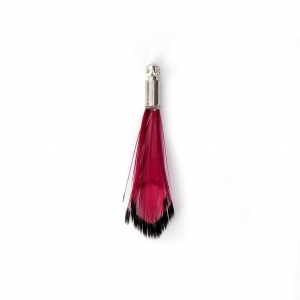 Plume de faisan rayée avec embout rhodié pour bijoux fantaisie Rouge/Noir 25 mm x1
