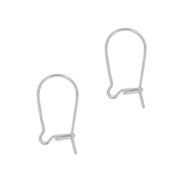 Boucles d'oreilles crochets dormeuses 14 mm en Argent 925 x50|raw }}