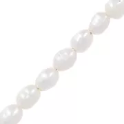 Perles d'eau douce olives irrégulières 4x3 mm - Blanc x20