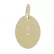 Chainette d'extension avec breloque marquée 1/20 14K 65mm Gold filled (or laminé)  x1