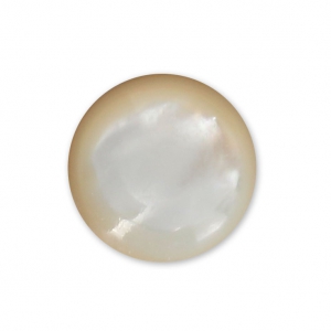 Cabochon rond 10 mm Nacre Blanc x1