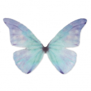 Papillon sans trou 50x35 mm Bleu x1