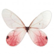 Papillon sans trou 50x35 mm Blanc et Rouge x1|raw }}