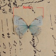 Papillon sans trou 50x35 mm Bleu et Vert x1