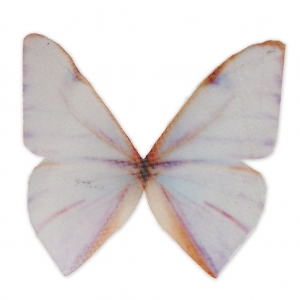 Papillon sans trou 50x40 mm Blanc et Orange x1