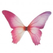 Papillon sans trou 50x35 mm Fuchsia x1|raw }}