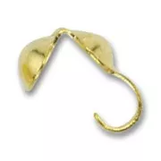 Cache noeuds  4 mm doré x24