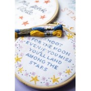 Fil à broder DMC Mouliné Etoile 617 Orange (C740) x8m