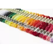 Fil à broder DMC Mouliné Etoile 617 Ecru (CECRU) x8m