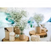 75 rondelles en bois brut 15 - 30 mm pour la décoration DIY