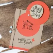 75 rondelles en bois brut 15 - 30 mm pour la décoration DIY