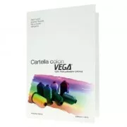 Nuancier de fil en polyester Vega pour la frivolité x1