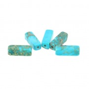 Perles Tubes Régalite teintées 13x4.5 mm Turquoise x5