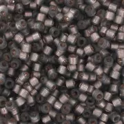 Miyuki Delica 11/0 DB0631 - Dyed Rustic Grey Silver Lined Alabaster x8g