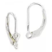 Dormeuses fleur de lys en Argent 925 x2