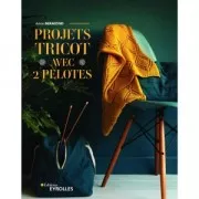 Projets Tricot avec 2 pelotes - Anne Bermond x1