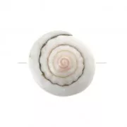 Perle coquillage 15 x 8 mm pour la création de bijoux fantaisie x1