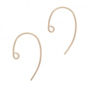 Crochets d'oreilles fil 13 mm en Gold filled (or laminé)    x2|raw }}