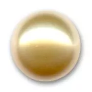 Cabochon Nacré PureCrystal 5817 10 mm Gold Pearl x1