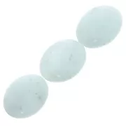 Perles en pierre gemme Amazonite olives plates 14x10 mm x5