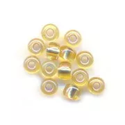 Rocaille Miyuki 8/0 1003- Gold AB Silver Lined