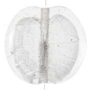 Perles plates - palets - feuille d'argent 35 mm Crystal x1