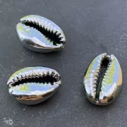 Coquillage Cauri finition argentée pour la création de bijoux DIY - 16 à 23 mm x 1