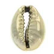 Coquillage Cauri 16 à 23 mm - Doré à l'Or fin x 1