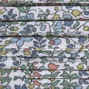 Cordon en tissu Liberty - Katie and Millie - Leitha x1m