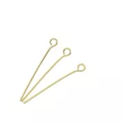 Clous tête ronde 25x0.70 mm - Doré à l'or fin x 25