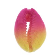 Coquillage Cauri dégradé rose/jaune - effet tie and dye - 20 à 26mm x1