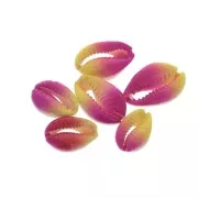 Coquillage Cauri dégradé rose/jaune - effet tie and dye - 20 à 26mm x1