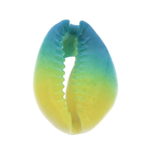 Coquillage Cauri dégradé bleu/jaune - effet tie and dye - 20 à 26mm x1